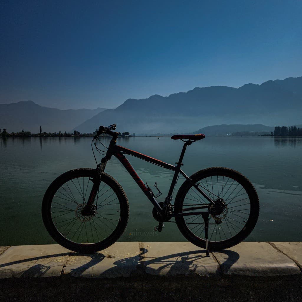 Still Bicycle Silhouette
