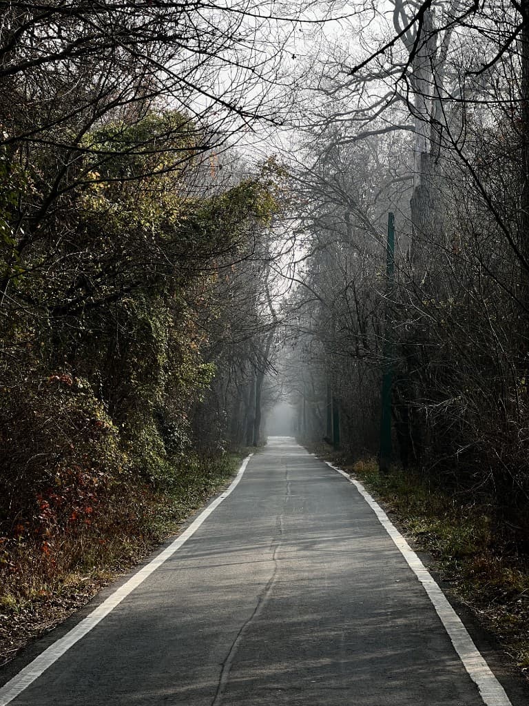 Fog Trail Passage